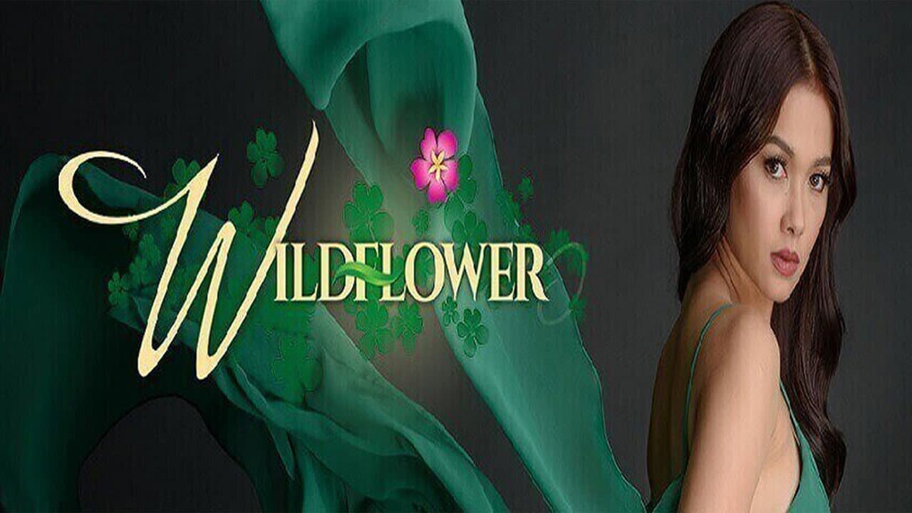 Watch Wildflower - Luganda Translated Serie by Vj Junior